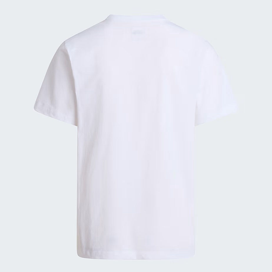 The North Face T-Shirt da Uomo Evolution Simple Dome Regular - immagine 2